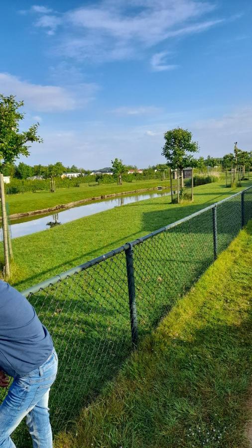 `T Blauwtje Baarland Villa Buitenkant foto