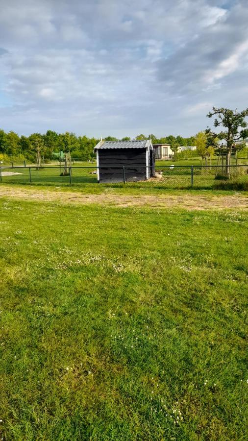 `T Blauwtje Baarland Villa Buitenkant foto