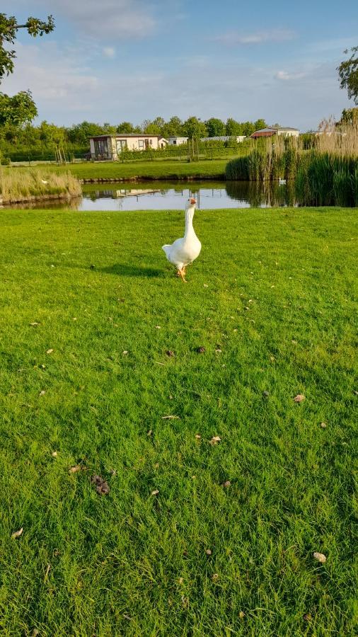 `T Blauwtje Baarland Villa Buitenkant foto