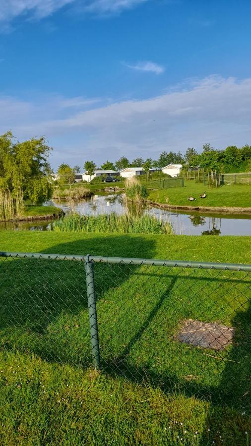 `T Blauwtje Baarland Villa Buitenkant foto