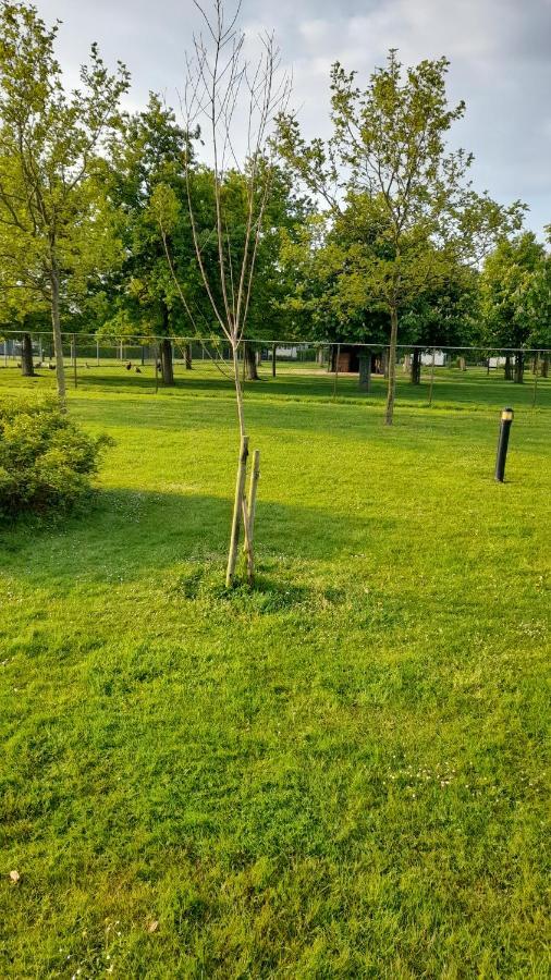 `T Blauwtje Baarland Villa Buitenkant foto